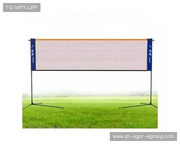 羽毛球球托是哪里